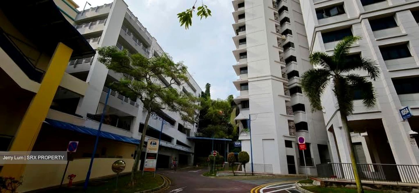 Blk 109A Depot Heights (Bukit Merah), HDB 4 Rooms #543067381